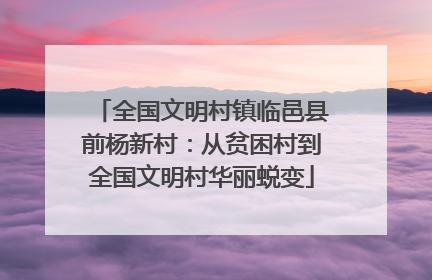 全国文明村镇临邑县前杨新村：从贫困村到全国文明村华丽蜕变